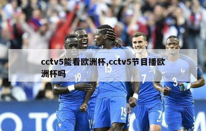 cctv5能看欧洲杯,cctv5节目播欧洲杯吗
