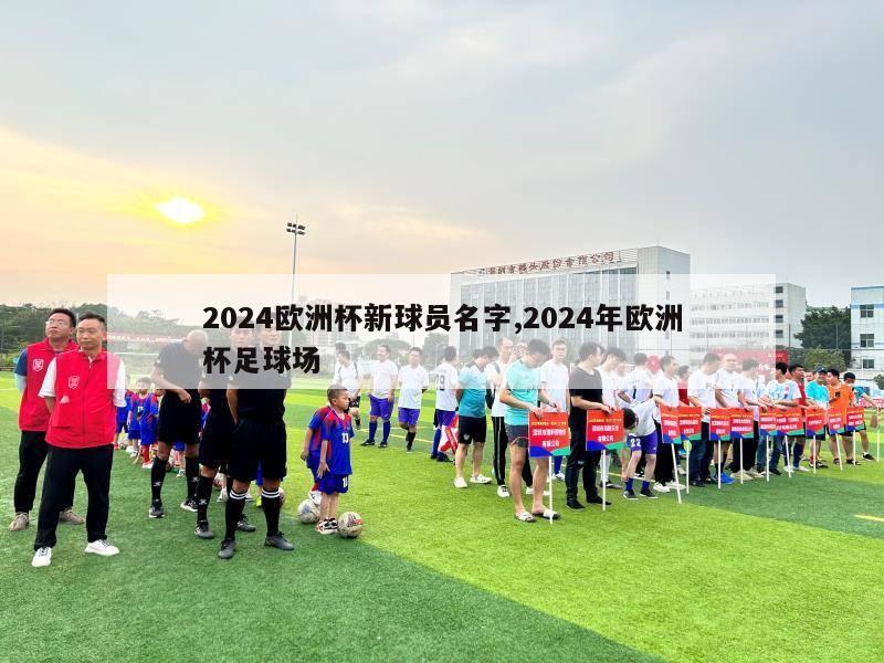 2024欧洲杯新球员名字,2024年欧洲杯足球场